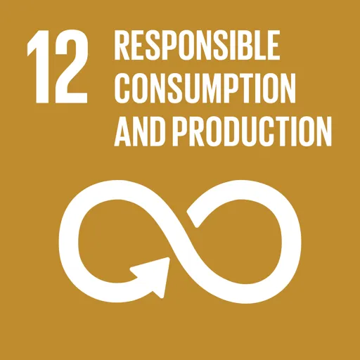 United Nations Sustainable Development Goal 12: Responsible Consumption and Production
