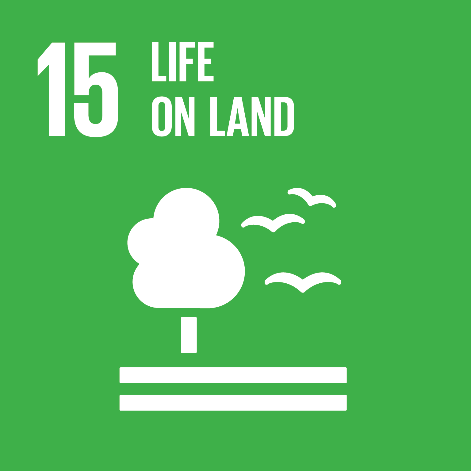 ODS 15: Vida de ecosistemas terrestres