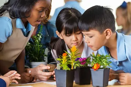Students studying plants and biodiversity in a hands-on science classroom activity