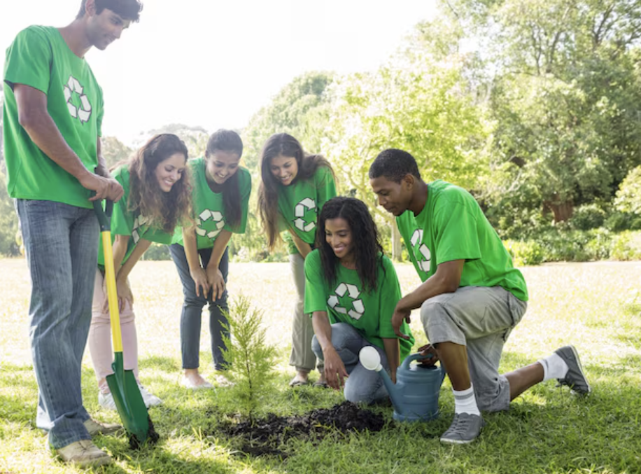 Colaboración en el aula global: los alumnos plantan un árbol como iniciativa medioambiental